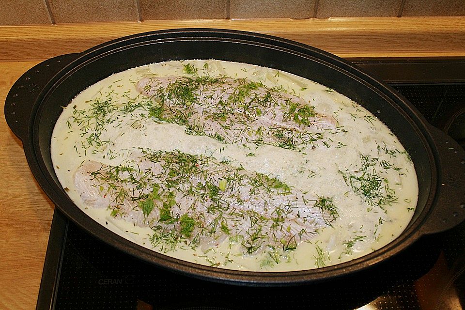 Fenchel - Tilapia - Ragout