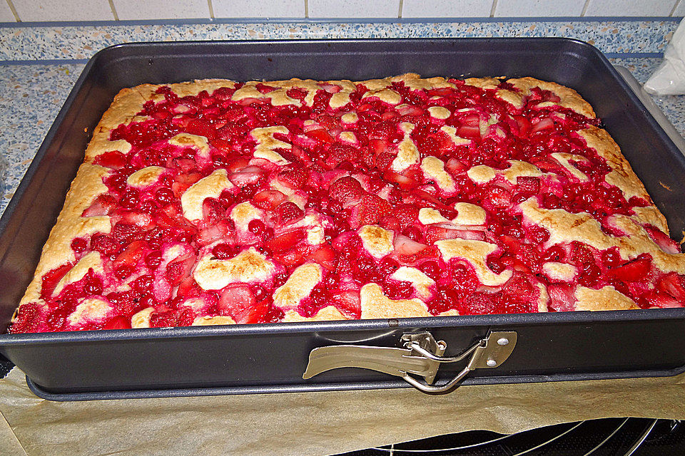 Obst-Blechkuchen