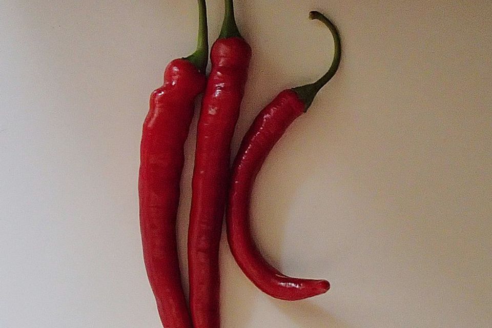 Chili