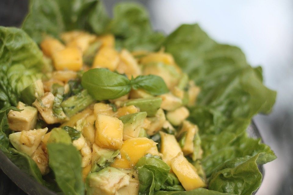 Avocado - Mango - Salat