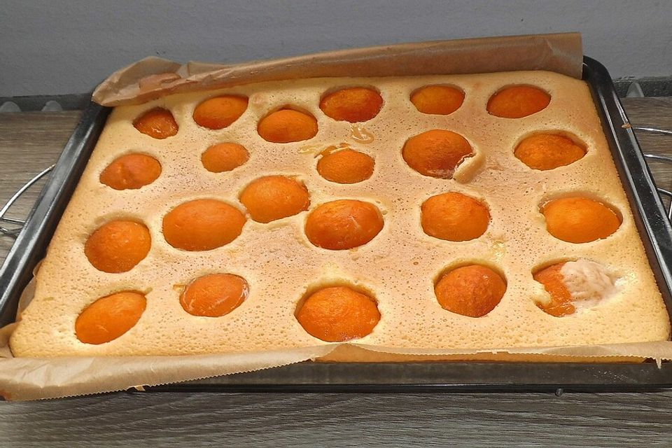 Aprikosenkuchen