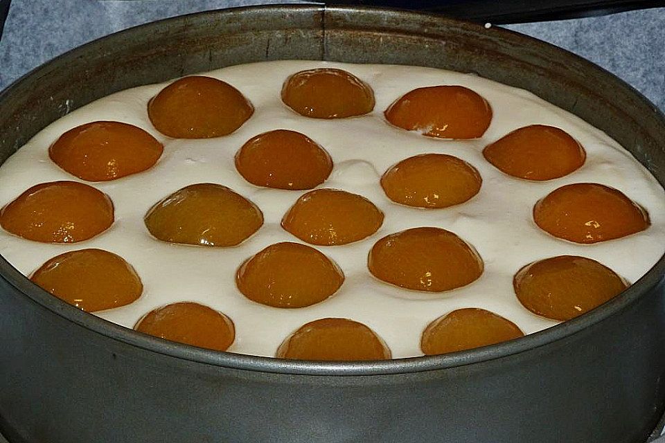 Topfenkuchen mit Marillen