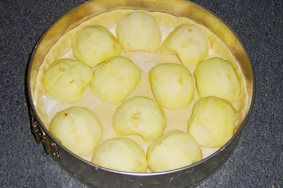 Apfelkuchen