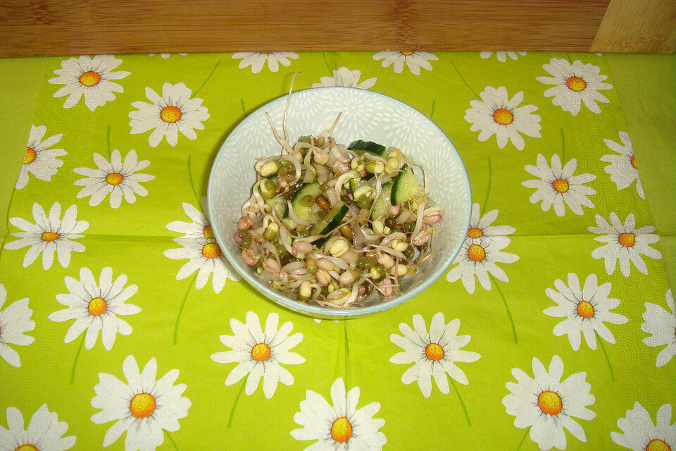 Gurken - Sprossen - Salat