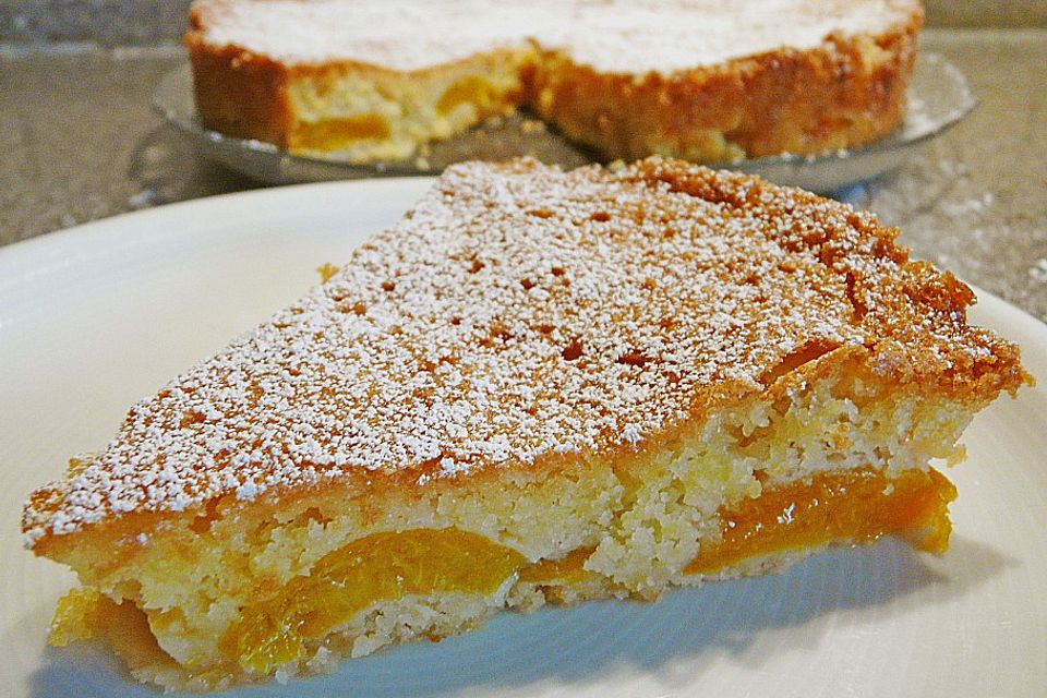 Aprikosenkuchen