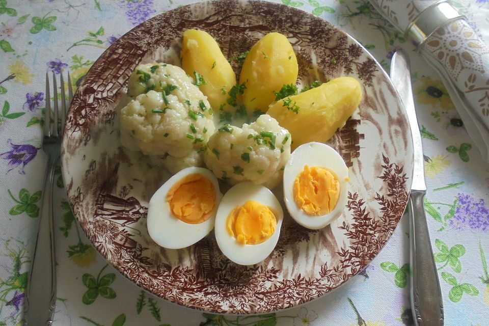 Blumenkohl-Ragout in Kräutersoße