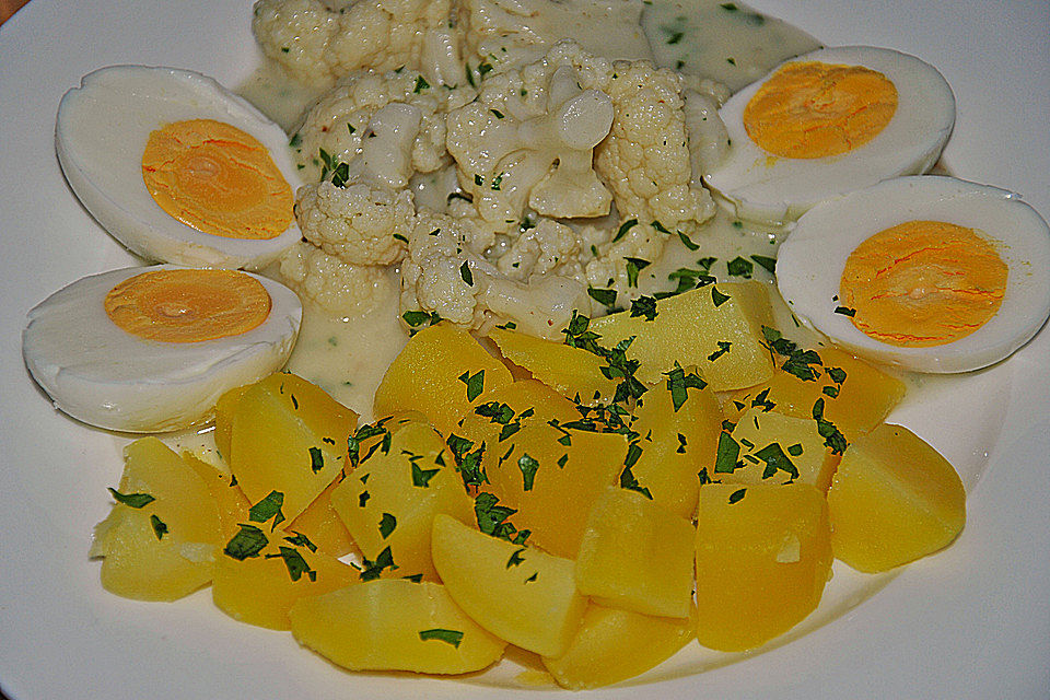 Blumenkohl-Ragout in Kräutersoße